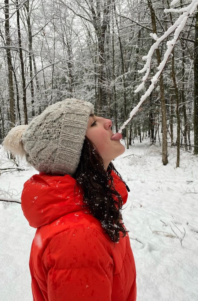 A Taste of Winter - snowy forest